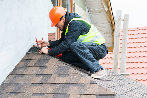 Best Roof Repair Services  in Rice, MN