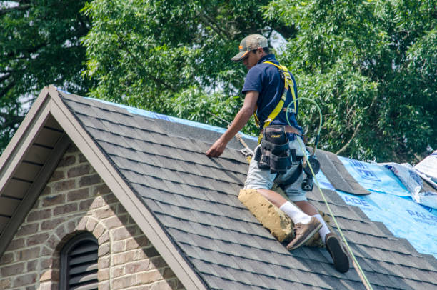 Best Roof Repair Services  in Rice, MN