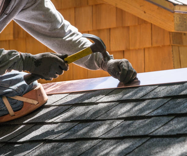 Best Metal Roofing Contractor  in Rice, MN